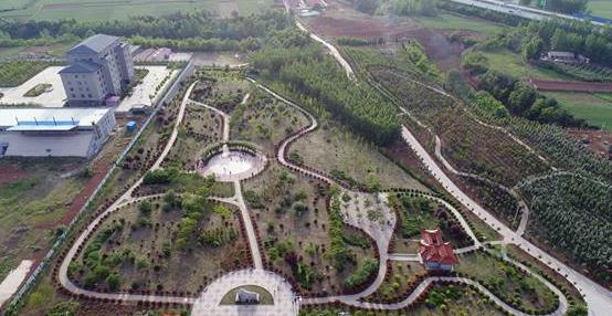 乡村振兴三问之二：河南探索乡村振兴 挑战有哪些？