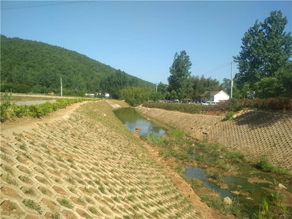 内乡县岞曲镇：湿地修复项目带给脱贫攻坚的生态张力