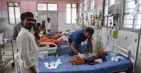 印度比哈尔邦因患急性脑炎死亡儿童人数升至100人