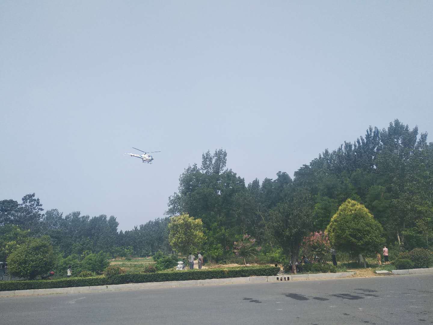 宁陵县林业发展服务中心积极开展飞机防治杨树病虫害