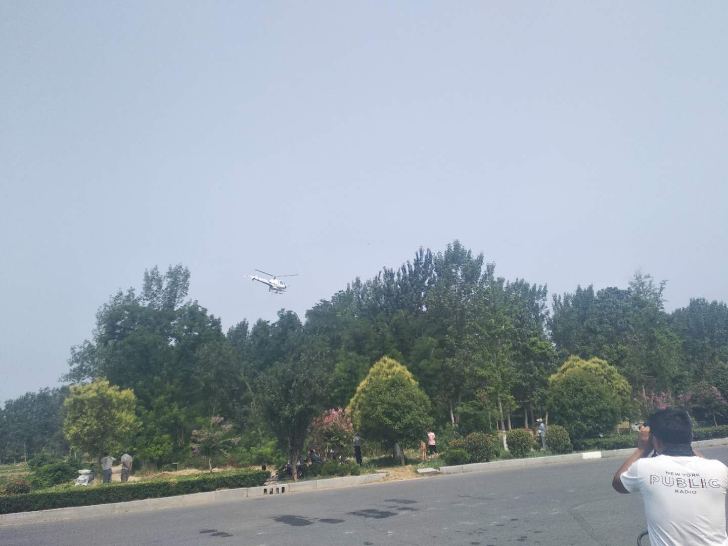 宁陵县林业发展服务中心积极开展飞机防治杨树病虫害