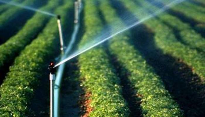 2018年全国节水灌溉工程达5.3亿亩 累计实施400多处大型灌区续建配套和节水改造