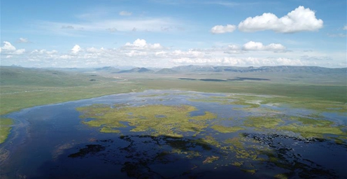2700公顷！甘肃尕海湖水域面积持续扩大