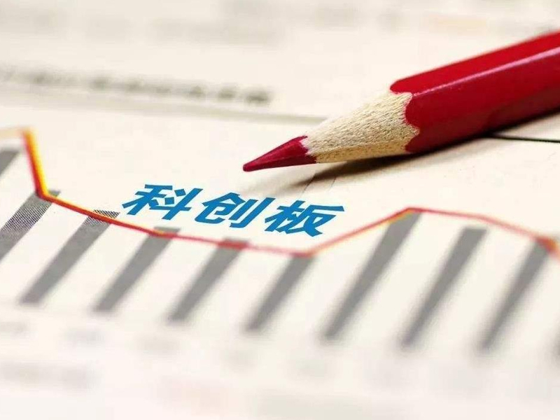 上交所：80家科创板在审企业中止审核 因补充财报超规定有效期 