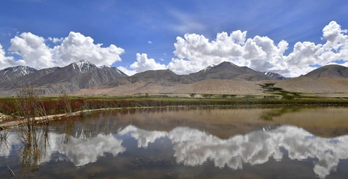 西藏阿里：水肥草美