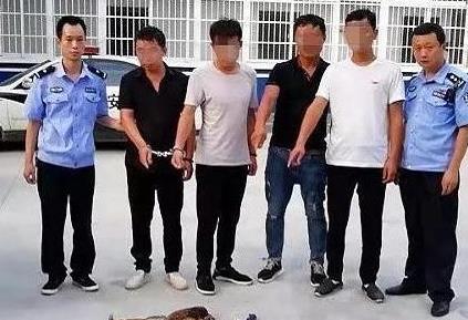 南阳：淅川交警查处一起盗猎案 4人因非法盗猎被刑拘