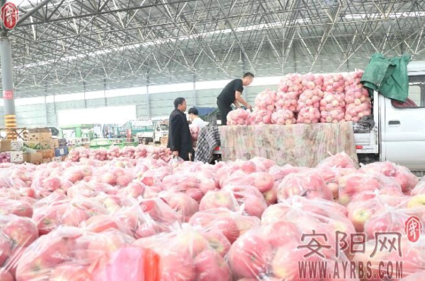 内黄县以诚信发展为根本 打造果蔬品牌
