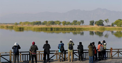 共同了解身边的自然！走进北京野鸭湖