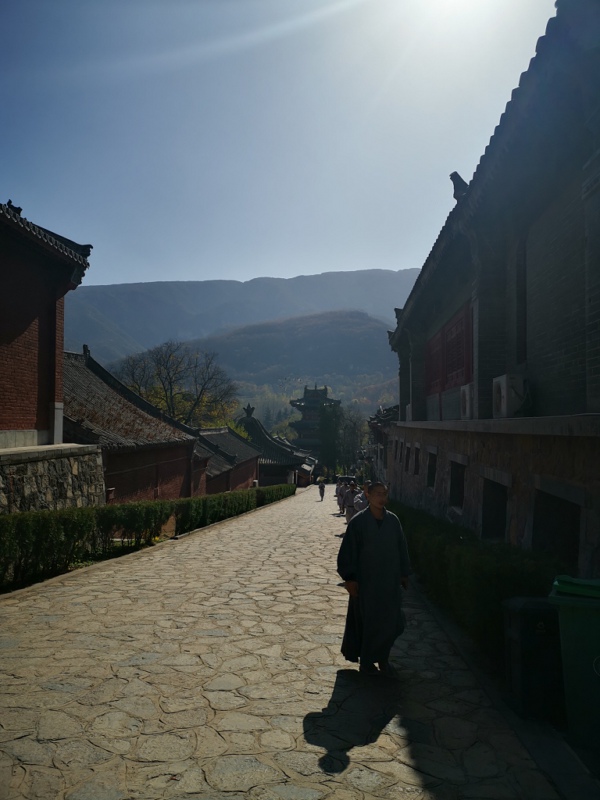 感受千年古刹少林寺的文化魅力 “第二届全国融媒体看河南”收官之旅 