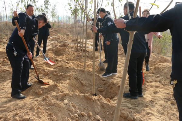 南阳市公安局鸭河工区分局组织开展冬季植树活动