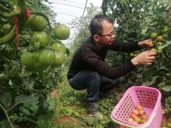 交流致富经验 激发创业动力——南召县云阳镇举办致富带头人经验交流会