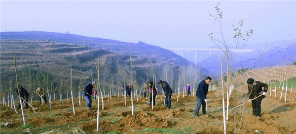 嵩县植树造林添新绿 乡村振兴增活力
