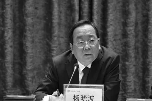 长江财险董事长、原黄石市市长杨晓波因重症肺炎去世