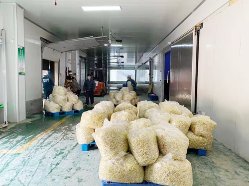 金豆子集团:保障抗击疫情期间的“蔬菜应急储备”