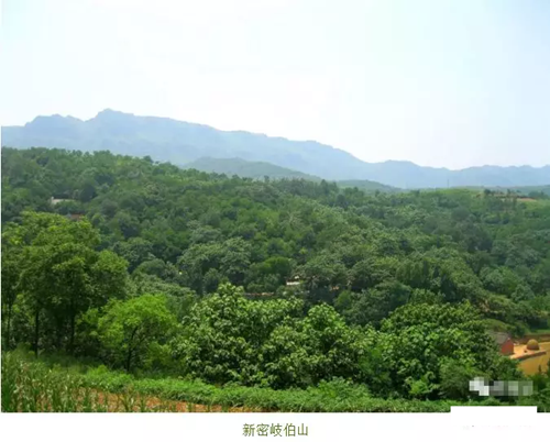 名字定了！河南“小汤山医院”叫郑州岐伯山医院