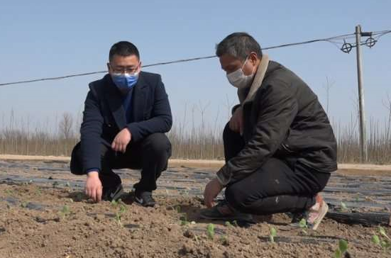 太康王翔飞：默默无闻，甘做全乡“抗疫后卫”保障员