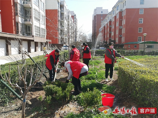 林州市振林街道：春风和煦植树忙 美化家园添新绿