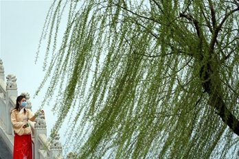 开封部分景区有序恢复开放：限流 全程戴口罩 