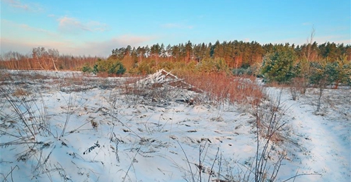 白俄罗斯多地迎春雪