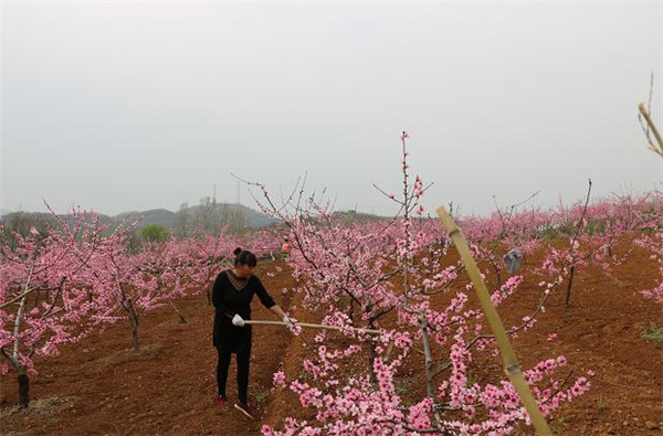 鲁山县下汤镇：“四不”简笔画绘就最美复工复产图