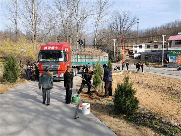 鲁山县：樱花增彩脱贫路