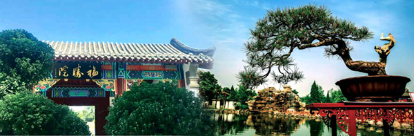 中国(开封)清明文化节：游千年铁塔 览传统文化