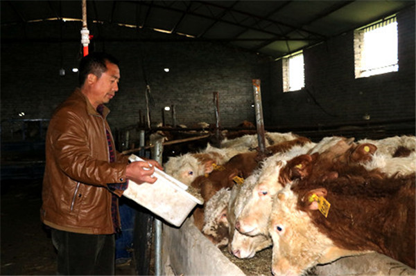 鲁山县磙子营乡：好心人养牛羊 贫困户沾了光