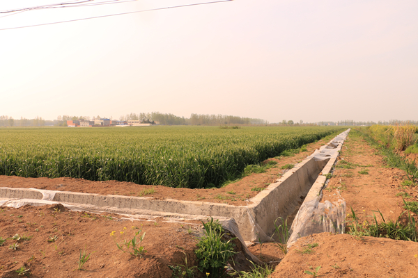 邓州市12万亩高标准农田建设如火如荼