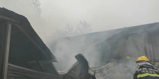 快讯！郑州祥云办事处辖区一木材加工厂发生火灾 厂房被烧塌