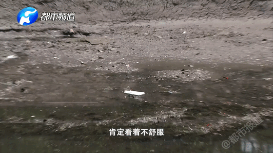变臭发黑?严重污染?郑州市金水河近况成关注焦点!
