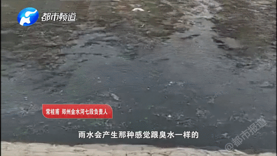 变臭发黑?严重污染?郑州市金水河近况成关注焦点!