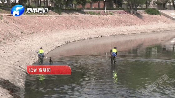 变臭发黑?严重污染?郑州市金水河近况成关注焦点!