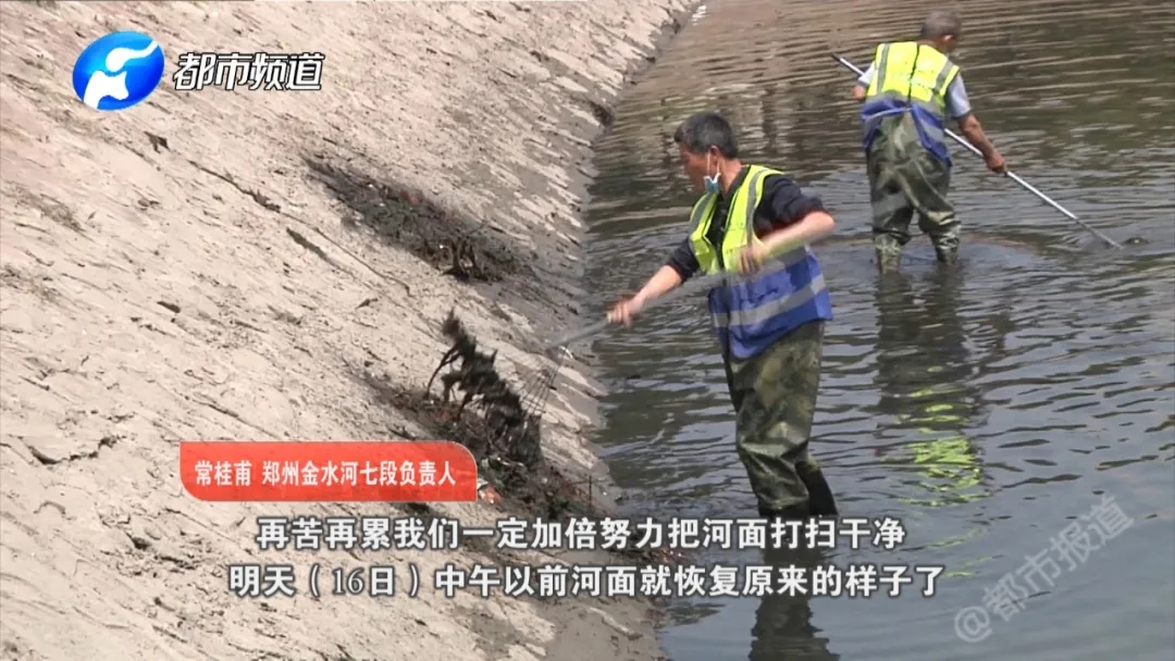 变臭发黑?严重污染?郑州市金水河近况成关注焦点!
