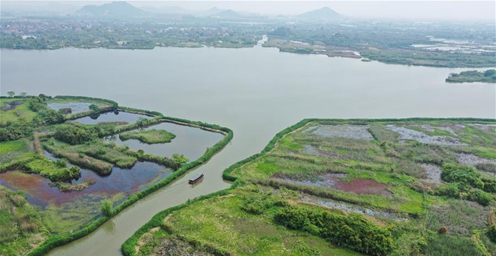 浙江德清：科学修复、合理利用 保护湿地