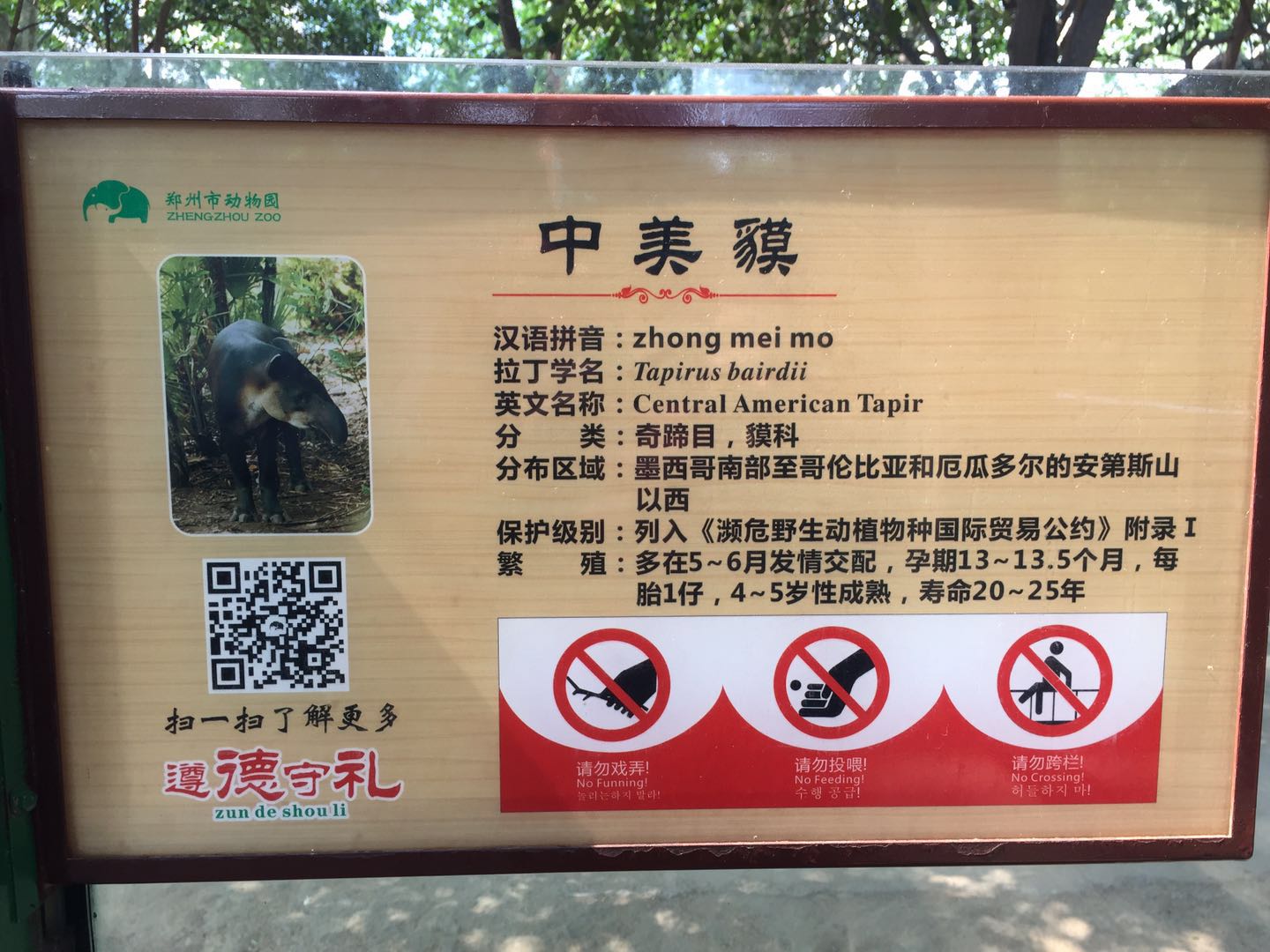 护士节的福利有点“可爱”！郑州动物园新增一批“萌宠”更是吸睛
