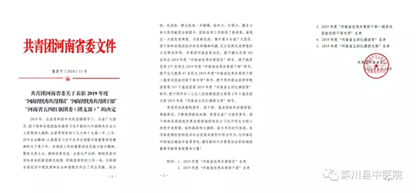 点赞！栾川县中医院团总支获评2019年度“河南省五四红旗团支部”