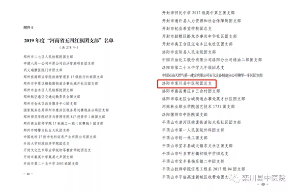 栾川县中医院团总支获评2019年度“河南省五四红旗团支部”