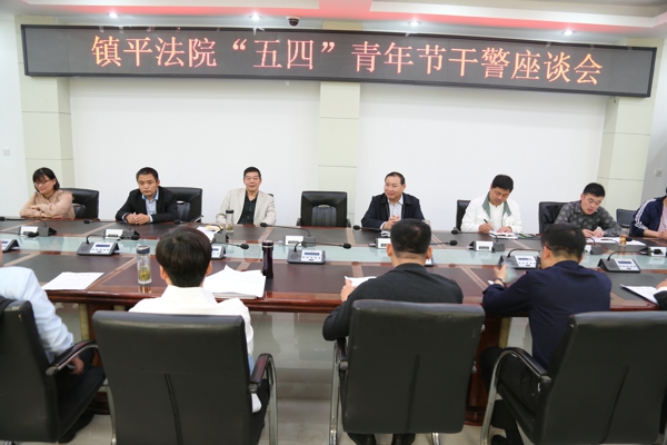 镇平县人民法院召开“五四”青年节干警座谈会