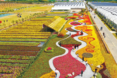 有序开放、有效防控 过一个健康安全的假期