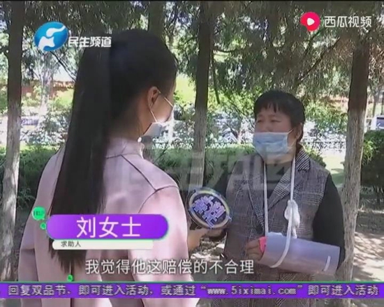 开封清明上河园：女子骑毛驴拍着视频正高兴，结果悲剧了