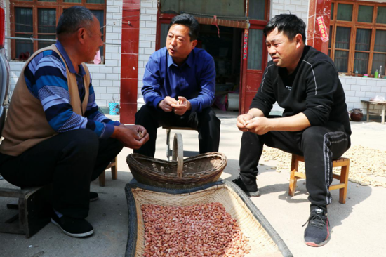 太康第一书记杨卫东：“再干3年，帮助村里发展再上新台阶”