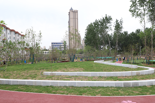 漯河市区1.3万平方米唯一赏樱专类园“樱花园”建成开放
