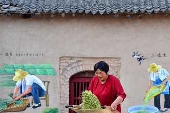 清香扑鼻！碾馔：一粒青小麦的“美味”蝶变