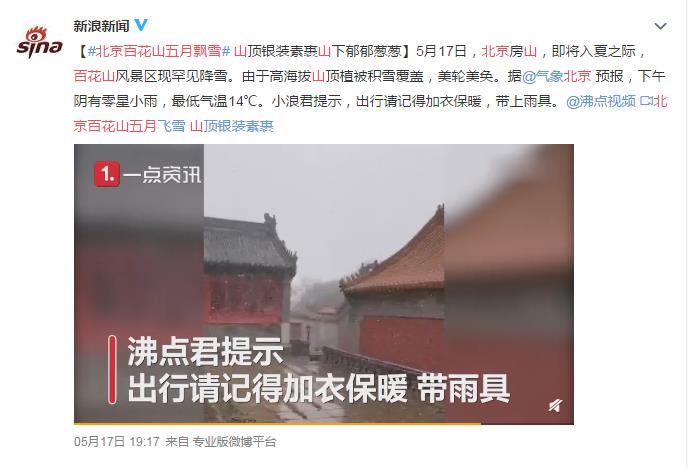 北京百花山五月飘雪 网友:广州在下开水