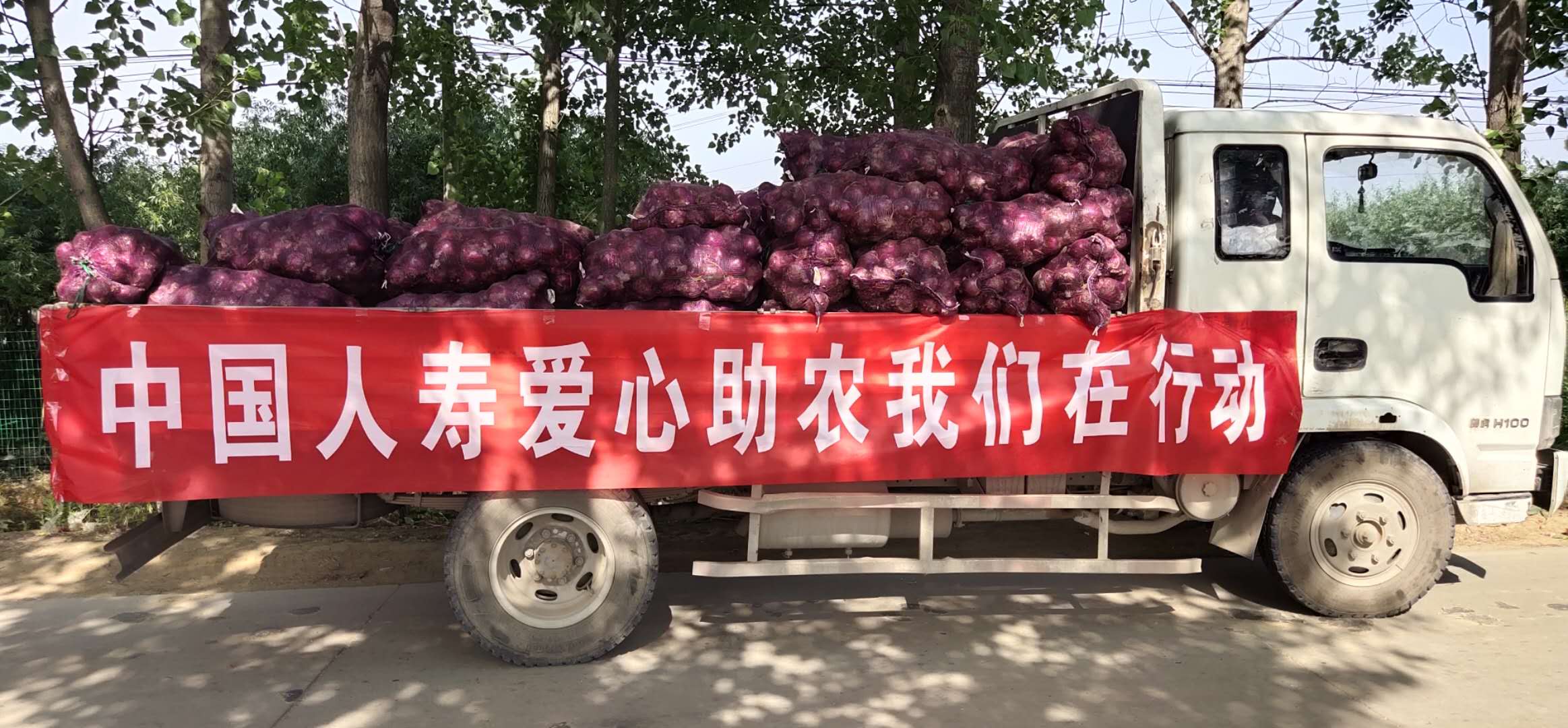 中国人寿献爱心  帮农解决售菜难