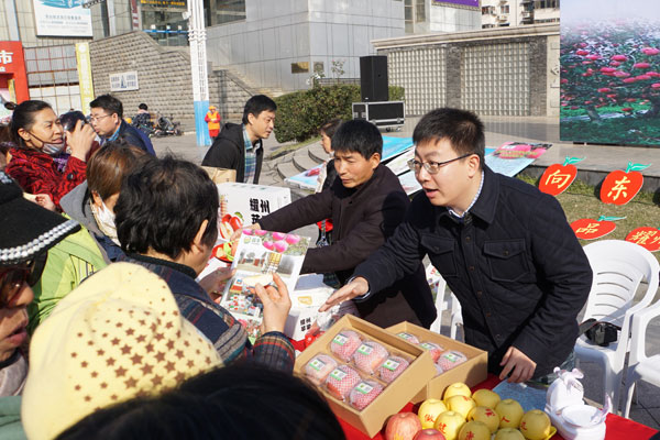 硕士博士到基层 墩苗淬火炼青春