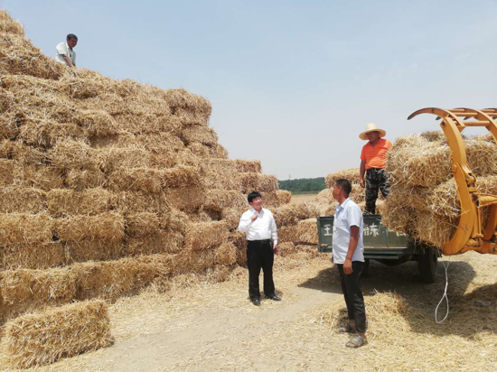 汝南县王岗镇：四个举措确保小麦秸秆堆放场防火安全
