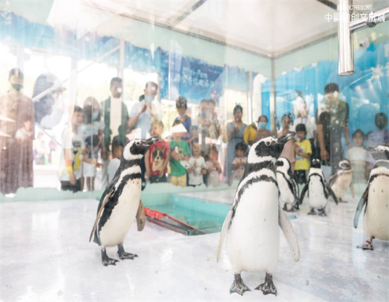 中原融创文旅城“冰雪奇旅欢乐节”启幕 惊“冻”全城