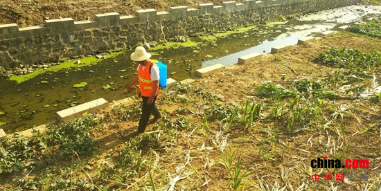 汝南县王岗镇开展河湖破堤种植及非法围垦行为专项整治活动