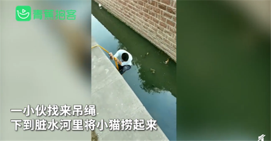 暖心！小伙下臭水沟救流浪猫 网友：一定是特别的缘分